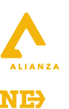 JÓVENES ADULTOS